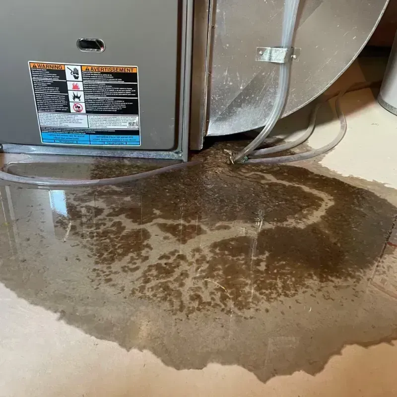 Appliance Leak Cleanup in Hodgenville, KY